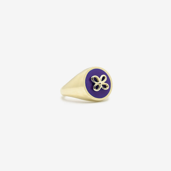 Cavaliere viola 