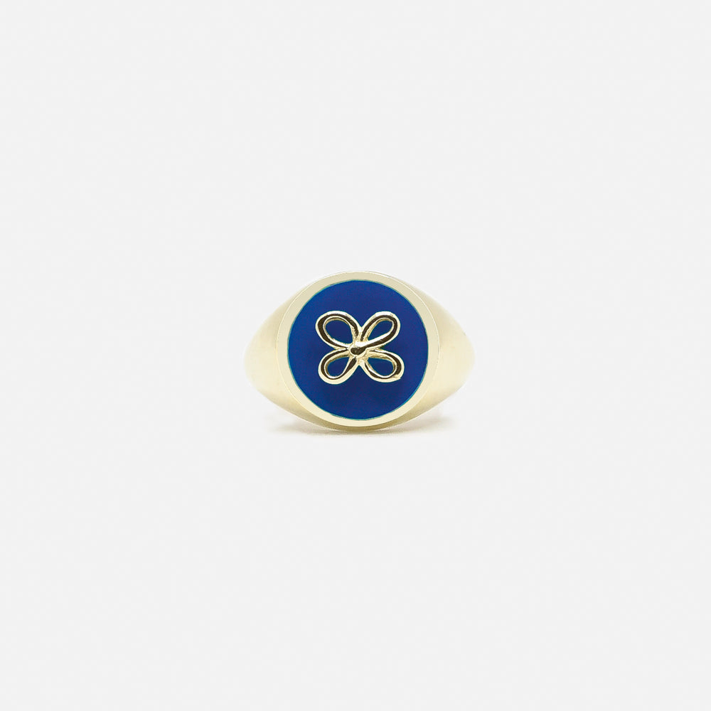 Cavaliere blu 