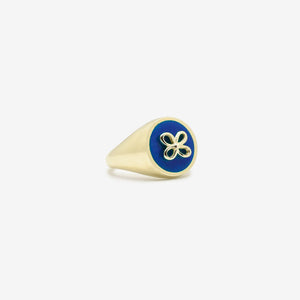 Cavaliere blu 
