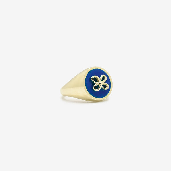 Cavaliere blu 