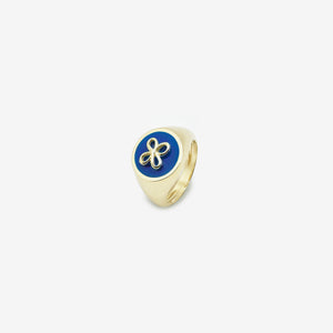 Cavaliere blu 