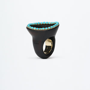 Anello Oasis