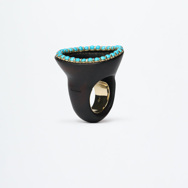 Anello Oasis