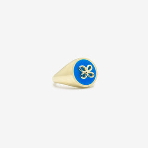 Cavaliere azzurro chiaro