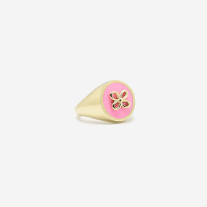 Cavaliere rosa