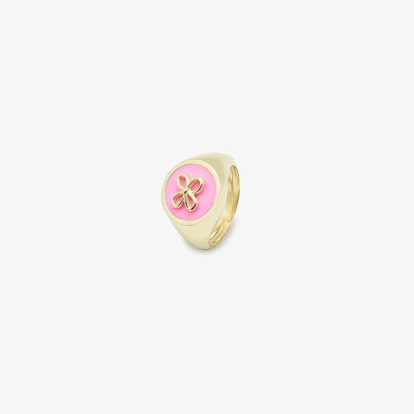 Cavaliere rosa