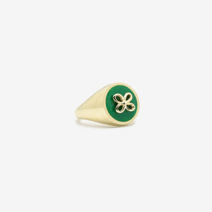 Cavaliere Verde